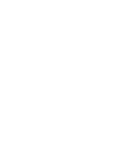 有限会社 三陽